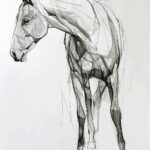gallop-8778393_1280
