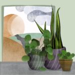 potted-plants-7383729_1280